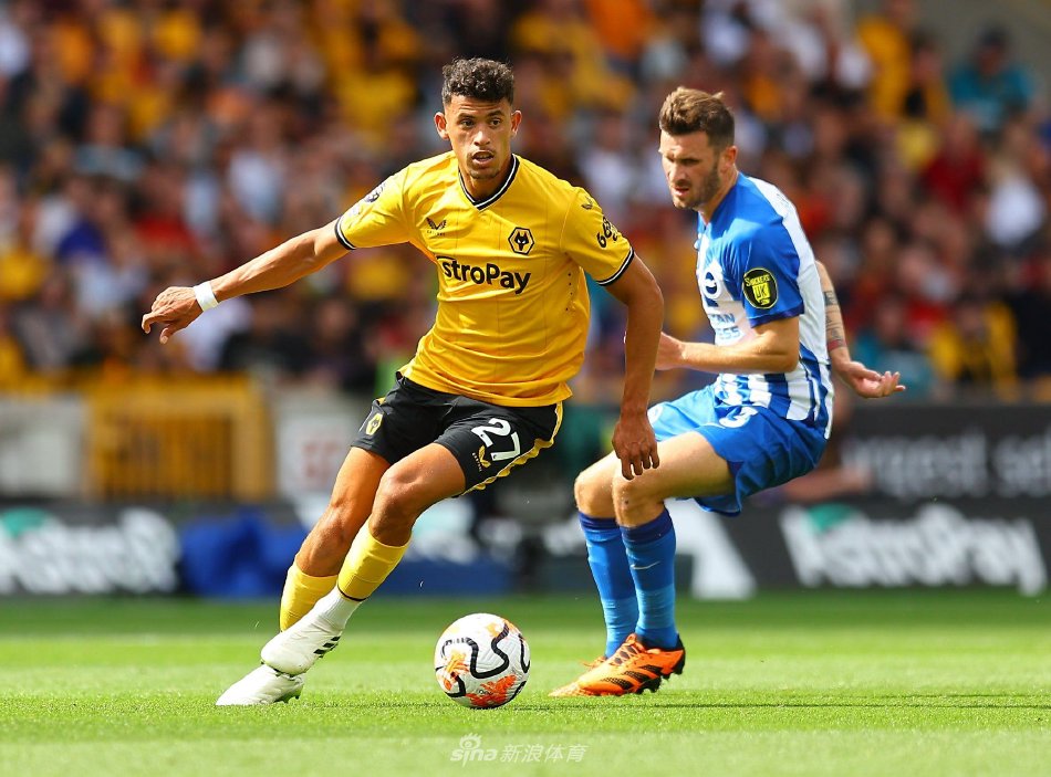 往往都能占 往往都能占